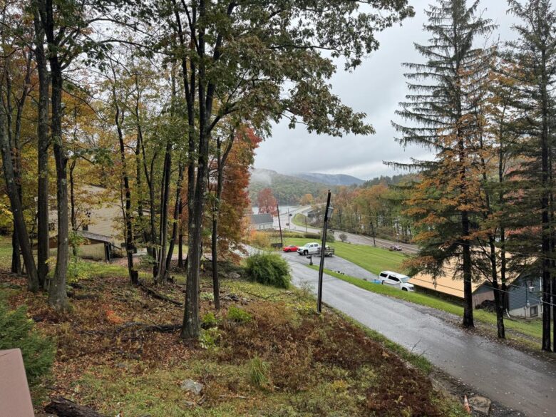 The autumn view from the deck, down through the trees