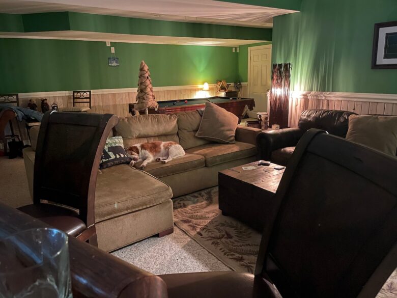 The lower-level lounge: sectional sofa, pool table behind, and the dog