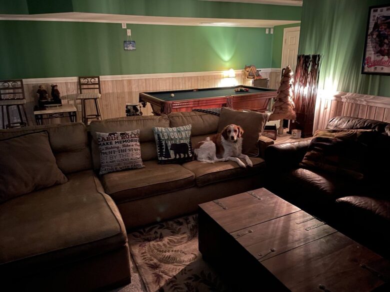 The lower-level lounge and pool table, with the dog on the sofa